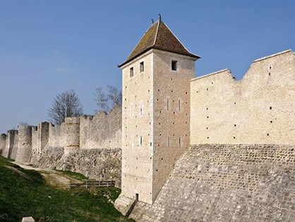 Provins, Medieval City